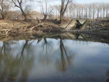 rhin